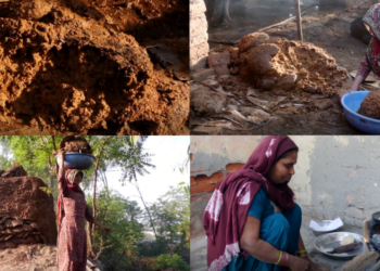 Households in Faridabad India, are increasingly reverting to traditional cooking methods such as wood-fired stoves and ‘chulhas’