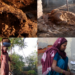 Households in Faridabad India, are increasingly reverting to traditional cooking methods such as wood-fired stoves and ‘chulhas’