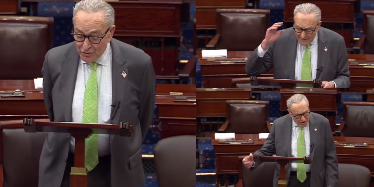 ‘Dangerously uninformed or lying’ – US Senator Schumer blasts Trump over Iran elementary school attack