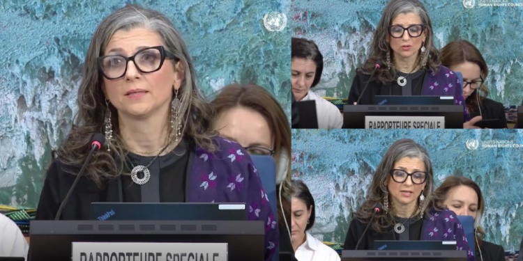 Israel has been given license to torture Palestinians – UN’s Albanese quotes EXTREME, GRAPHIC accounts of alleged rape and other cases *DISTRESSING*