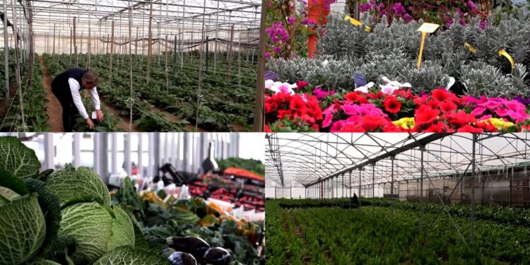 Costs climb, crops wait – Italian growers sound alarm over fertiliser price surge, export disruptions amid Hormuz crisis