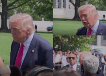 ‘They were not there when we asked them to be there!’ – Trump blasts Australia over Hormuz support