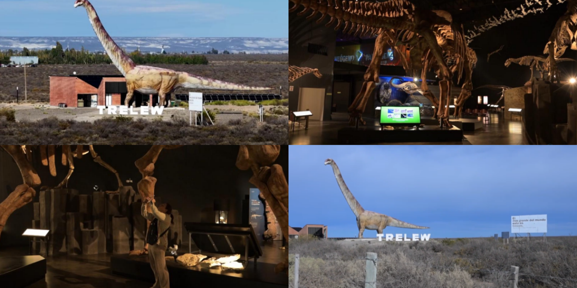 Patagonian ‘missing link’ – New 160-million-year-old dinosaur species found in Chubut sheds light on sauropod evolution