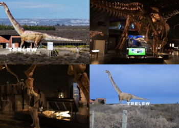 Patagonian ‘missing link’ – New 160-million-year-old dinosaur species found in Chubut sheds light on sauropod evolution