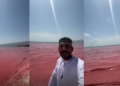 Crimson surf – Omani beach turns red after mass wash-up of dead shrimp