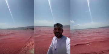 Crimson surf – Omani beach turns red after mass wash-up of dead shrimp