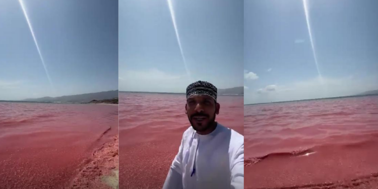 Crimson surf – Omani beach turns red after mass wash-up of dead shrimp