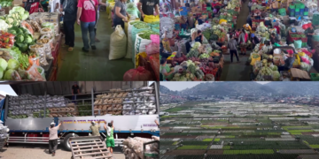 ‘Cheaper to let vegetables rot than bring to market’ – Filipino farmers crushed by fuel crisis from Middle East conflict