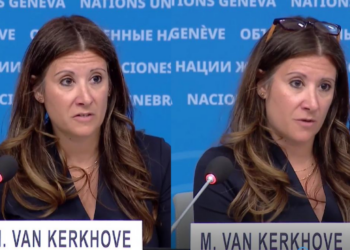 ‘Human-to-human transmission cannot be ruled out!’ – WHO gives emergency presser as suspected rat virus kills three aboard ‘plague ship’