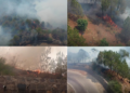 Wildfire tears through India’s Kasauli forests despite round-the-clock firefighting