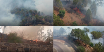 Wildfire tears through India’s Kasauli forests despite round-the-clock firefighting