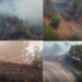 Wildfire tears through India’s Kasauli forests despite round-the-clock firefighting