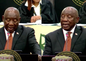 ‘We need to deal with illegal migration’ – Ramaphosa says South Africa ‘cracking down’ but warns against xenophobia
