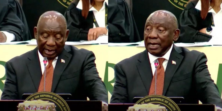 ‘We need to deal with illegal migration’ – Ramaphosa says South Africa ‘cracking down’ but warns against xenophobia
