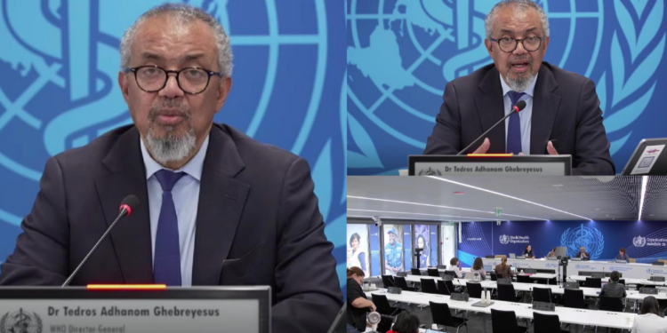 WHO: Suspected Ebola Cases Fall, But Outbreak Remains Unpredictable
