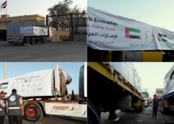 UAE aid convoys carry 740 tonnes of food supplies into Gaza