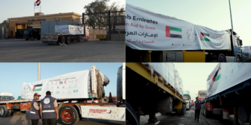 UAE aid convoys carry 740 tonnes of food supplies into Gaza