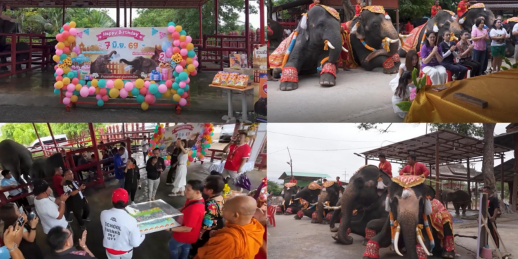 ‘World’s first’ mixed-sex elephant twins celebrate second birthday in Thailand