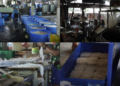 Indonesia faces soybean price crisis as rising US dollar squeezes margins