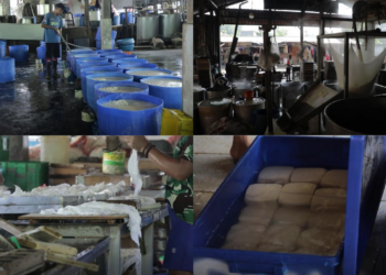 Indonesia faces soybean price crisis as rising US dollar squeezes margins