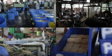 Indonesia faces soybean price crisis as rising US dollar squeezes margins