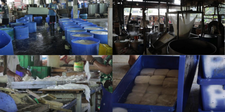 Indonesia faces soybean price crisis as rising US dollar squeezes margins