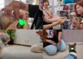 Japan tech firm helps deaf dogs with vibration-led audio aid