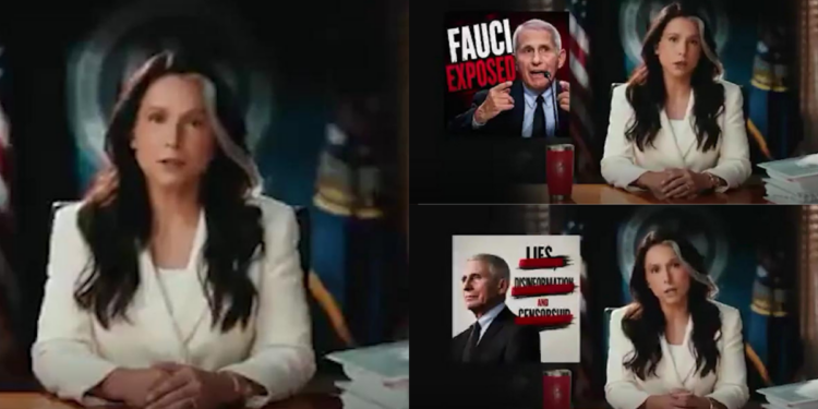 Now Gabbard accuses FAUCI of funding dangerous Wuhan research that ‘sparked COVID-19’ after Ukraine biolabs revelations