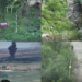 Russian flag raised – Troops operate in conflict zone as DefMin claims takeover of settlements in Kharkov, DPR