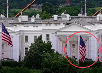 Half-mast tribute – Trump orders US flags lowered after Senator Lindsey Graham’s death