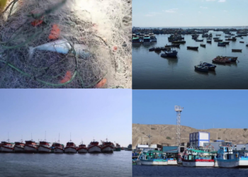 El Nino leaves Peru’s northern fishing families pleading for help as catches collapse