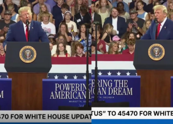 Spot the difference! – Audience member goes viral after appearing to impersonate Trump in Georgia