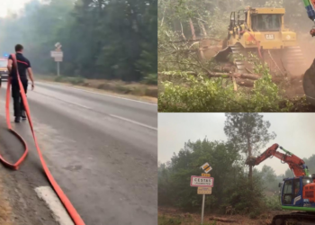 Race to save Bordeaux! – Bulldozers tear down trees as flames advance towards French city