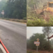 Race to save Bordeaux! – Bulldozers tear down trees as flames advance towards French city