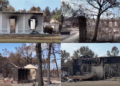 Le Porge residents set to SUE French government over wildfire devastation
