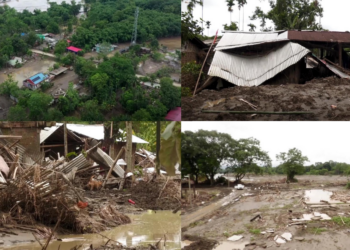 India’s Assam Rescuers Reveal Desperate Race To Save Flood-Trapped Villagers