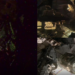 NASA astronauts step outside ISS to install power upgrade