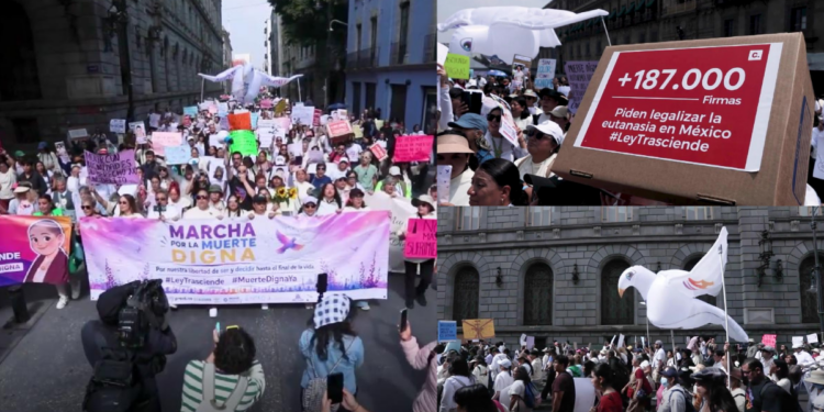 First march for euthanasia moves through Mexico City and hands in more than 187,000 signatures